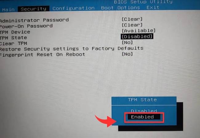 How to Enable TMP 2.0 in HP BIOS